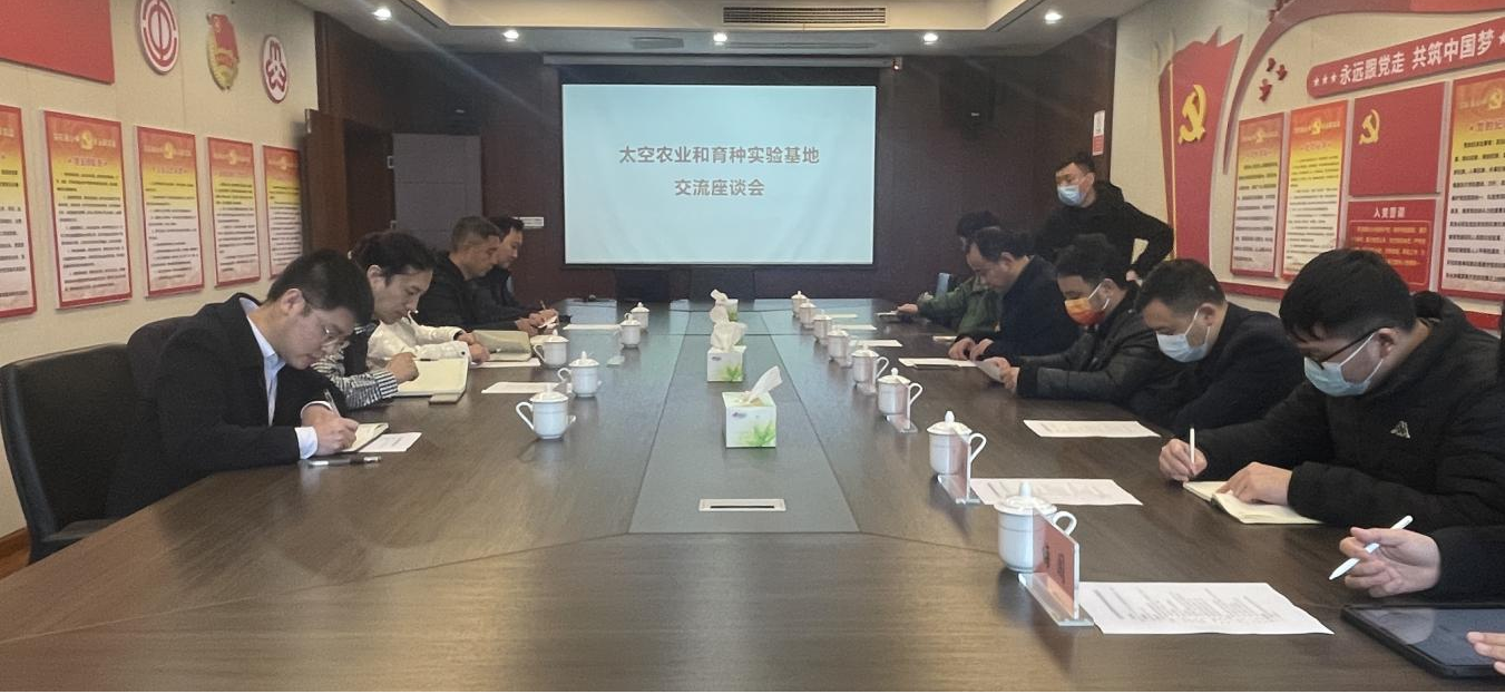 图片12.png
